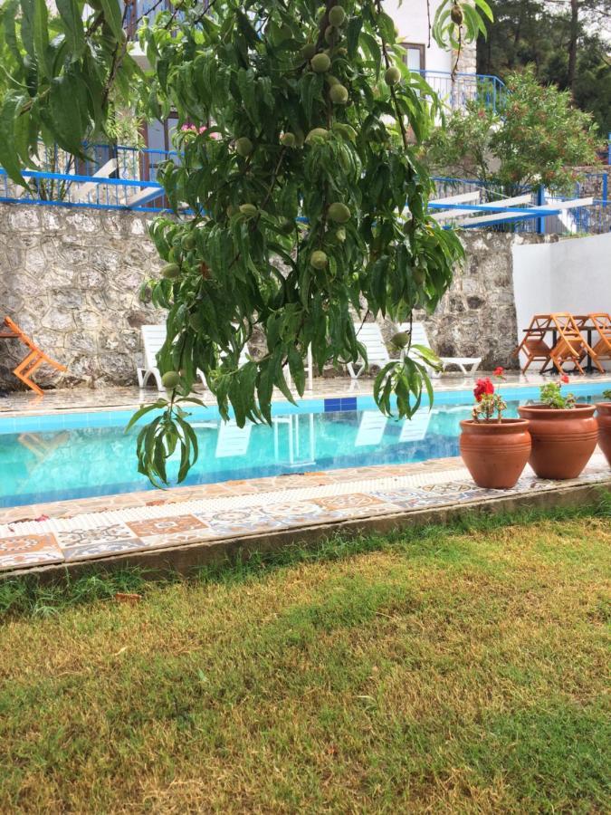 Alp Inn Villas トゥルンチュ エクステリア 写真